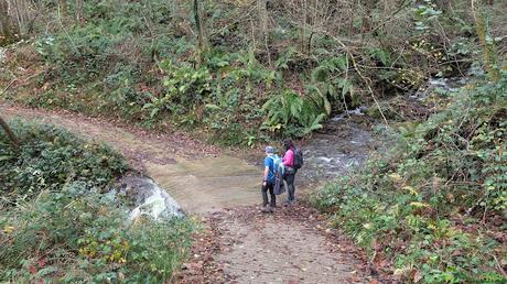 Arroyo sobre el camino antes de Ladines
