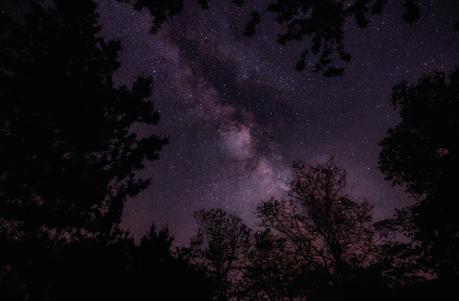 Como las estrellas del alba que alaban
