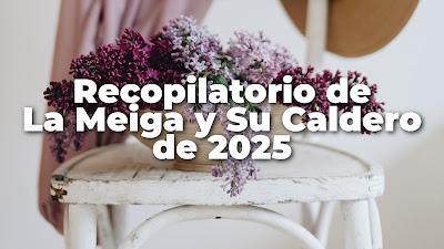 Recopilatorio de 2025 de La meiga y su caldero