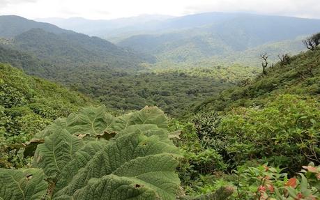 La economía resiliente propone un sistema capaz de resistir, adaptarse y recuperarse frente a perturbaciones sin sacrificar el bienestar social ni la sostenibilidad ambiental