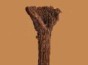 María Sanz. todo será mudo amarillo