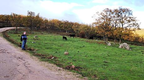 CERRO DE LA GOLONDRINA