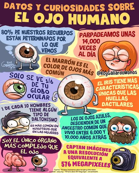Ojo humano Ojo humano