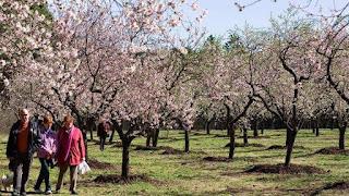 DE LO QUE HACE QUE MEREZCA LA PENA
