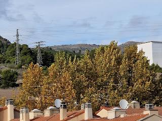 VARIACIONES DE UN PAISAJE EN LLAMAS