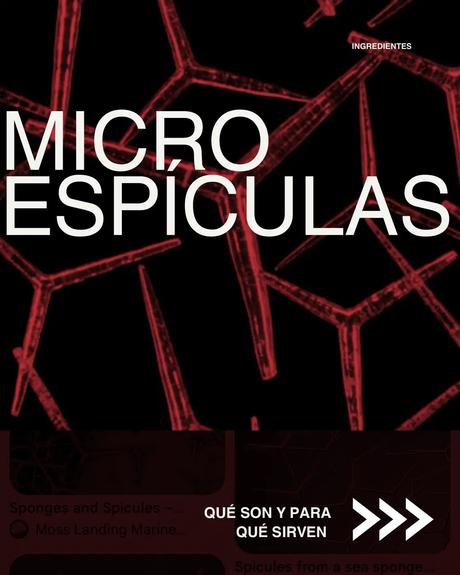 microespículas skincare, espículas cosméticas, spicules skincare, microspicules, espículas INCI, tratamientos con microespículas, skincare coreano espículas, renovación celular sin peeling, cosmética avanzada