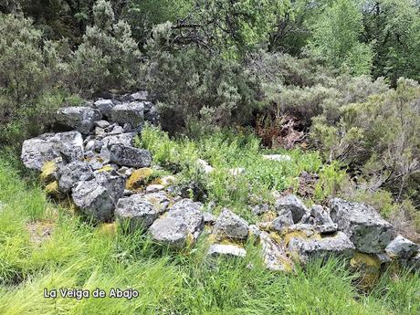 Degaña-Puerto San Antón-La Bóveda