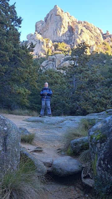 ESTAMPAS: EL PÁJARO