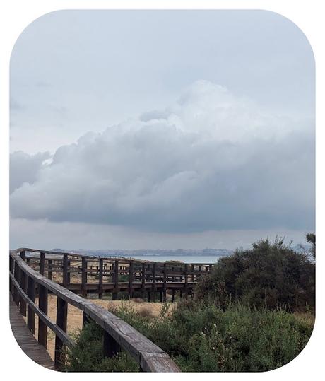 Los Arenales del Sol - Enero