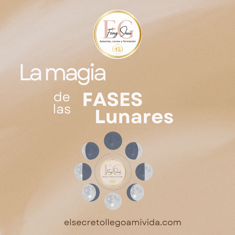 🌑🌒🌓🌔🌜🌕🌖🌗🌘🌙🌚🌛Cada Luna nos trae actividades ideales.