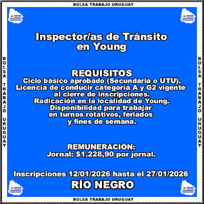Inspector-as de Tránsito en Young