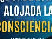 Sostiene Damasio