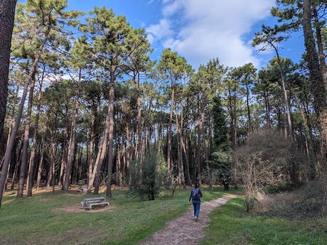 Costa Quebrada desde Liencres Costa Quebrada desde Liencres