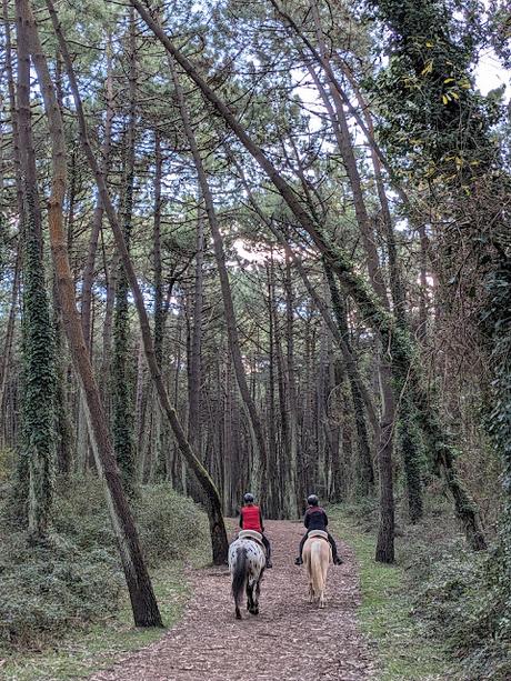 Costa Quebrada desde Liencres Costa Quebrada desde Liencres