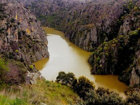 ESTAMPAS: RÍO DUERO