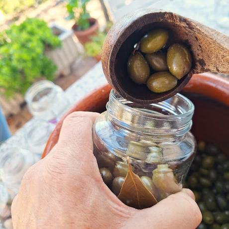 Aceitunas verdes aliñadas con aceite de oliva