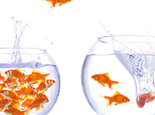 océano azul pozo ciego solo paso