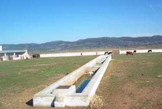 Las zonas rurales, áreas para el futuro: 20 recomendaciones para revitalizar la tierra en las zonas rurales