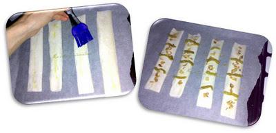 Flautas de espárragos