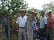 SRA, coludidos contra campesinos: