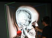 nuevas paredes virtuales permiten diseccionar cerebro