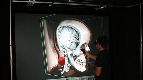 Los nuevas paredes virtuales permiten diseccionar el cerebro en 3D