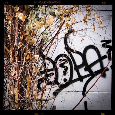 'Milano' lo último de Ruben Reehorst