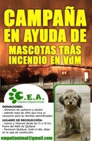 Ayuda a Animales Damnificados