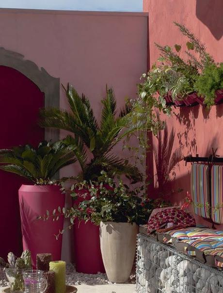 Primavera, Primavera!!!