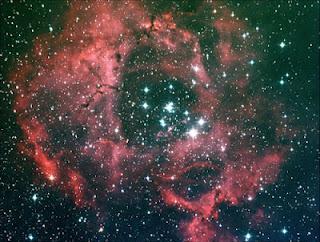 Evolución Vs. Creacionismo: De las teorías científicas a ...