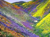 estás aquí, Primavera