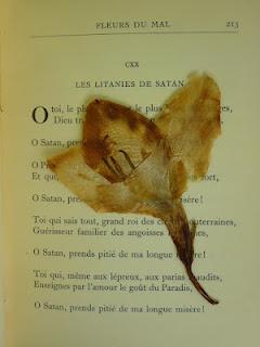 Las flores de Baudelaire comienza su promo