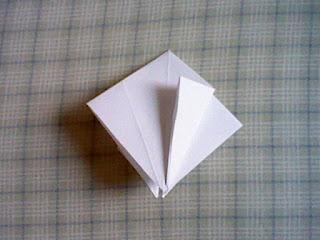 Técnica Mezcla Rana-Pájaro