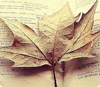 ¡Hola, otoño! + Día mundial de la poesía