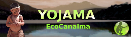 “Yojama Ecocanaima”; Software de Ahorro Energético