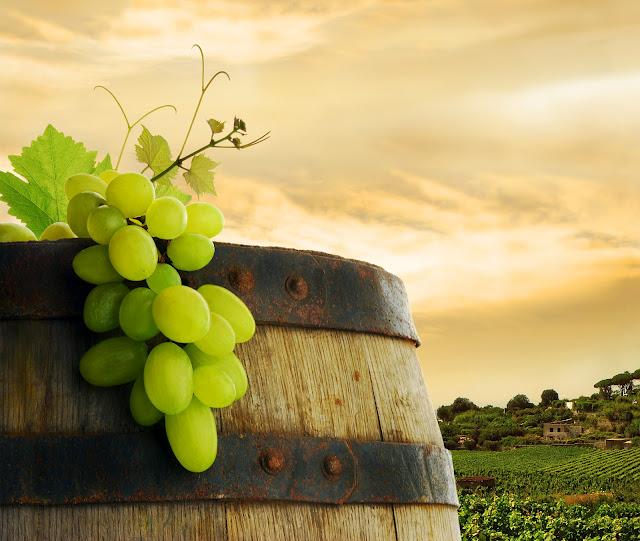 Herrero Bodega y su pasión por la tierra de la uva Verdejo (D.O. Rueda)