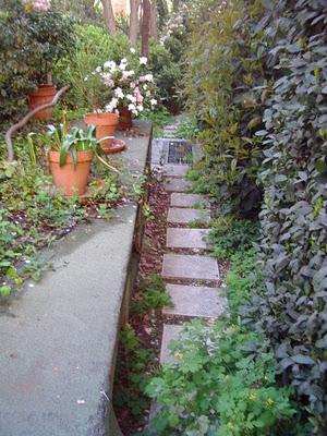 Jardines secretos (III): El Jardín del Edificio Zurich