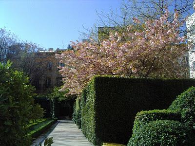 Jardines secretos (III): El Jardín del Edificio Zurich