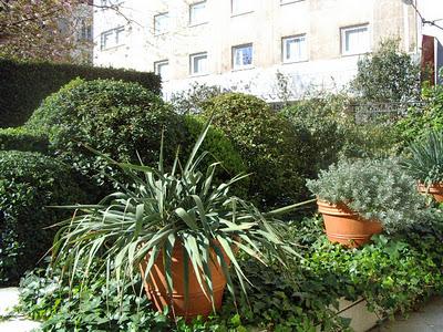 Jardines secretos (III): El Jardín del Edificio Zurich