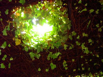 Jardines secretos (III): El Jardín del Edificio Zurich