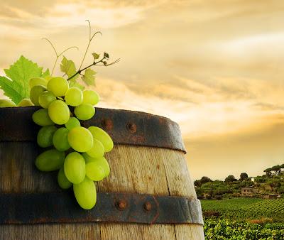 HERRERO BODEGA - Y su pasión por la tierra que produce una de las mejores uvas blancas, la variedad autóctona, Verdejo (D.O. Rueda)