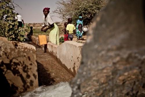 22 de marzo, el día de un planeta sediento