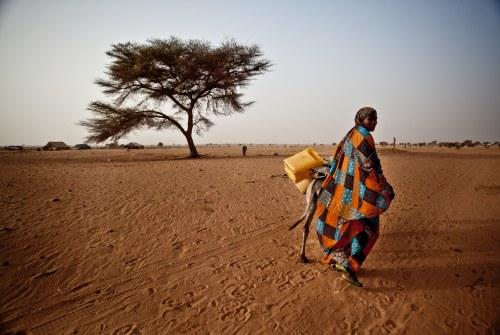 22 de marzo, el día de un planeta sediento