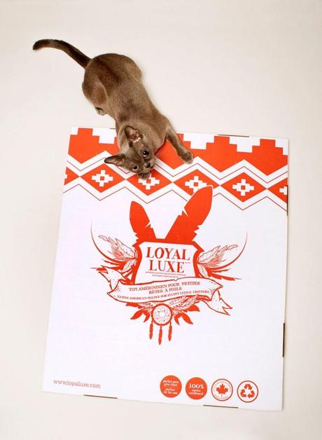 DESIGN... CAT HOUSES, esos lindos gatitos...