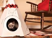 houses, esos lindos gatitos...