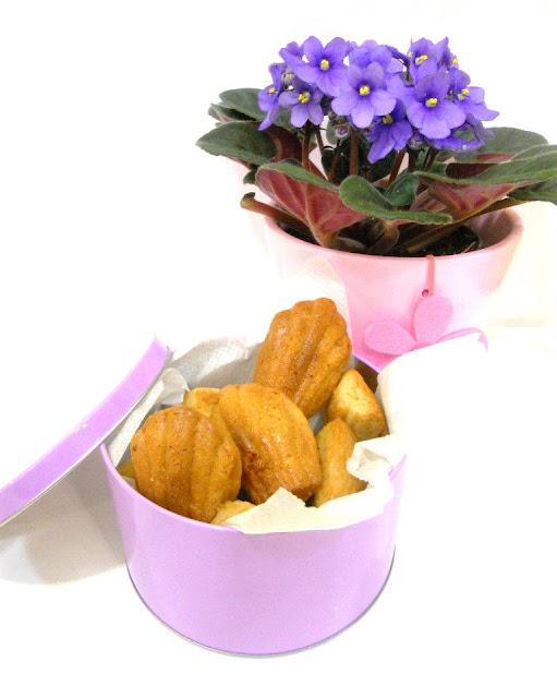 MADELEINES DE VAINILLA