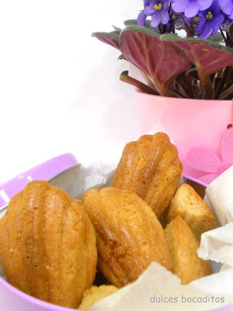 MADELEINES DE VAINILLA