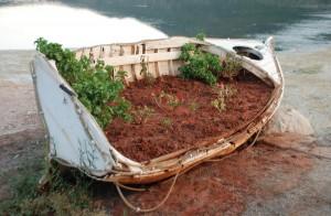 NAVEGANDO A FAVOR DEL VIENTO… (I)
