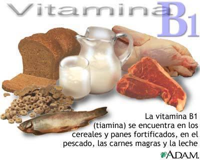 Alimentos que contienen Tiamina  o Vit. B1
