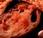 Barra 'Pan tomate'